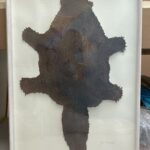 IMG_1638 (1)